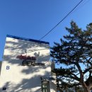 씨레스트 투