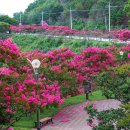 도화동산 이미지