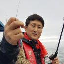 오늘도쭈꾸미 Daum카페