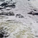 법상세탁소 이미지