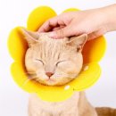 땡