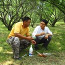 유성농장 이미지