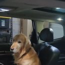 고집불통 이미지