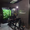 숲속공기 이미지