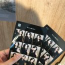 유림-1153 이미지