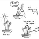 다육식물 화분갈이 및 계절별 관리요령[ 이미지