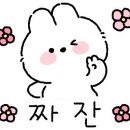 비전5로 이미지