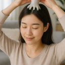 올라솔 티스토리