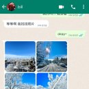 채린빌