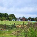 애견가을농장 이미지