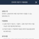스카이트래블