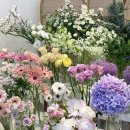 유화(오전) 이미지