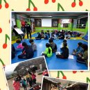 경희대 청룡태권도 이미지