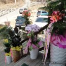 동막골식당 이미지