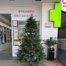 위드팜센터약국 이미지