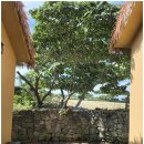 발레리조트 이미지