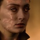 피닉스코리아㈜ 이미지