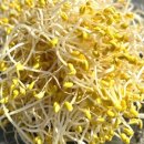 뚝딱집밥요리만들기 이미지