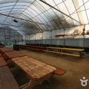 푸른펜션 이미지