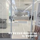 유정프라자 앞 | [화성/반송동] 동탄 미용실 헤어다이아 동탄점 윤지 수석디자이너님의 손질 쉬운 중단발 빈티지펌...