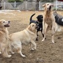 박순호의 아이슬란드 이미지