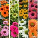 농산물안정성분석센터3 이미지