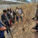 왕희농장 이미지