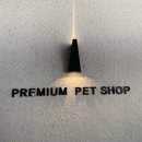 라이프독 이미지