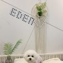 이든아토