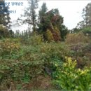 도순주유소 이미지