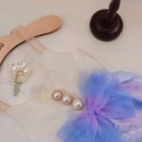 안독(Andog) 이미지