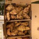교촌치킨 외동점 - 김해시 | 교촌치킨 외동점