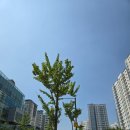 하늘내린공인중개사사무소 이미지