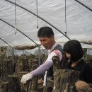 다대농장 이미지