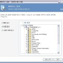 빛자루