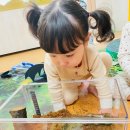 효동어린이집 이미지
