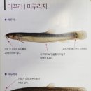 민물나라추어탕 이미지