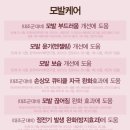 헤드스파7 살롱 컬러 마스터 결염색 셀프염색 후기