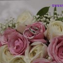 강남결혼상담소 | [강남 결혼정보회사 추천] 강남잉꼬결혼상담소 강남잉꼬결혼상담소, 신뢰도 높은 선택