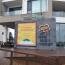 제주동동 이미지