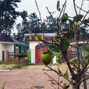 푸른솔 민박 이미지