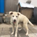 화담여관 이미지