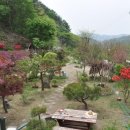 금동농장 이미지