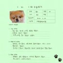 1147 | [#1147] 보리(양측 대퇴골두절제술)의 수술후기