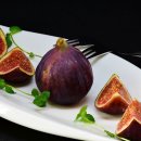 우리강아지 이미지