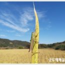 달하산농장