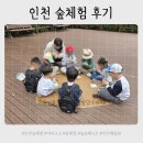 숲에온 환경 | 주말 아이랑 숲체험 인천대공원 숲파티포레 5살 후기