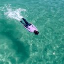 굿나잇 판포 이미지