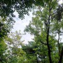 영축산순환산책로(광운대역) 이미지