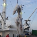 동원산업 이미지